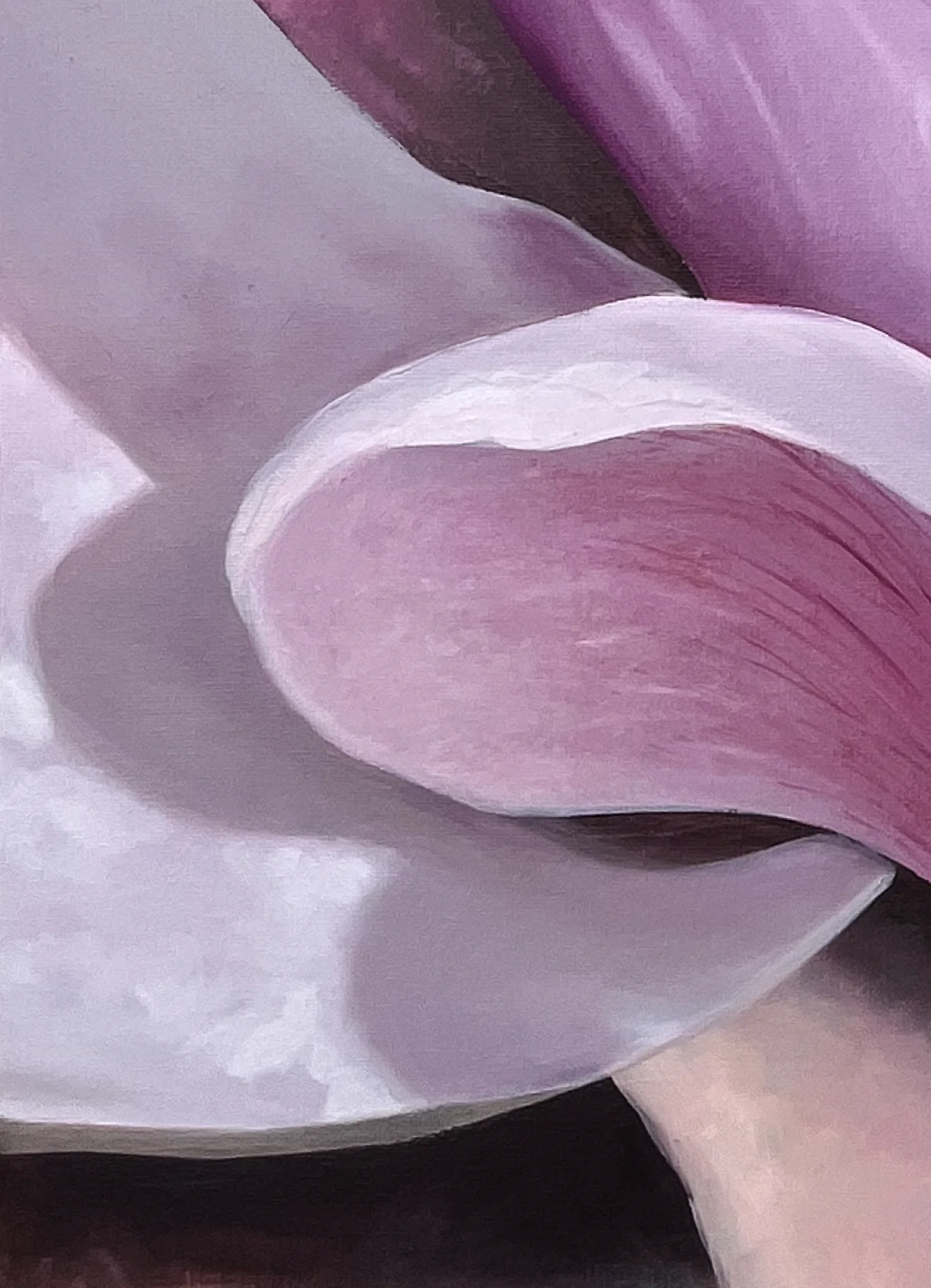 Close detail: a single petal curled back, its pink inner surface finely veined, casting a lilac shadow