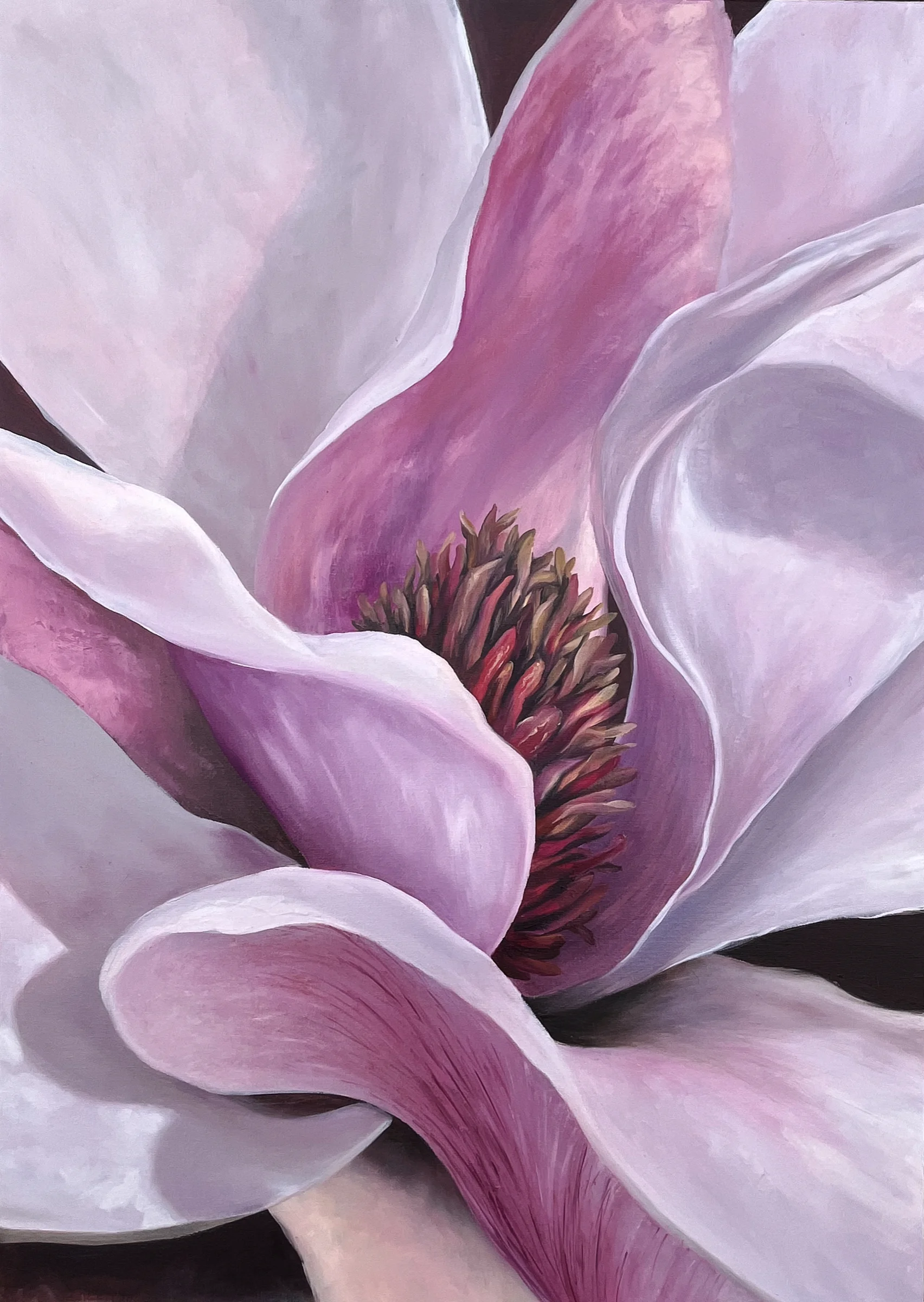 Magnolia, oil on canvas, 50 × 70 cm